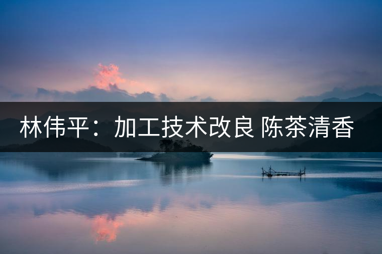 林偉平：加工技術(shù)改良 陳茶清香仍在