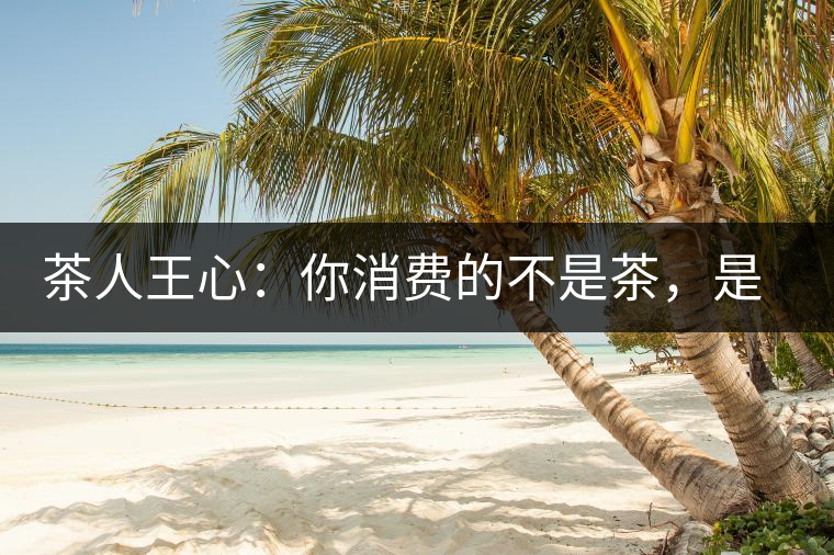 茶人王心：你消費的不是茶，是我