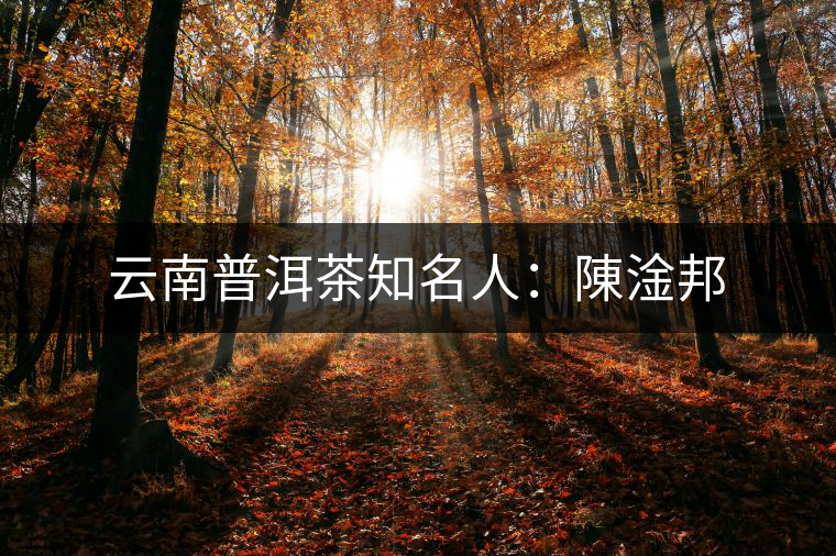云南普洱茶知名人：陳淦邦