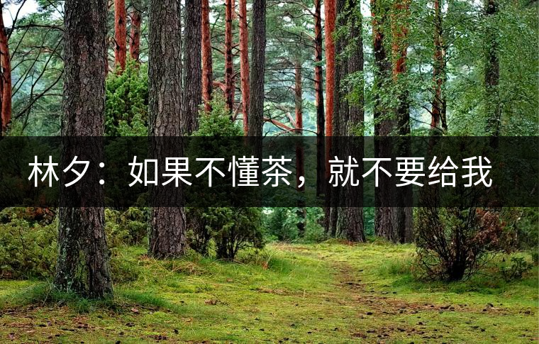 林夕：如果不懂茶，就不要給我送茶