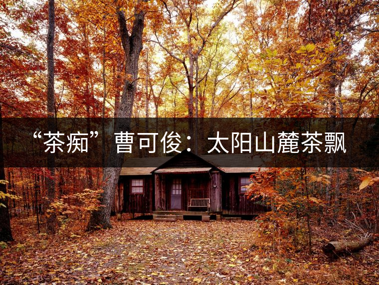 “茶癡”曹可?。禾柹铰床栾h香，清明時節(jié)采茶忙