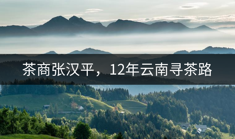 茶商張漢平，12年云南尋茶路