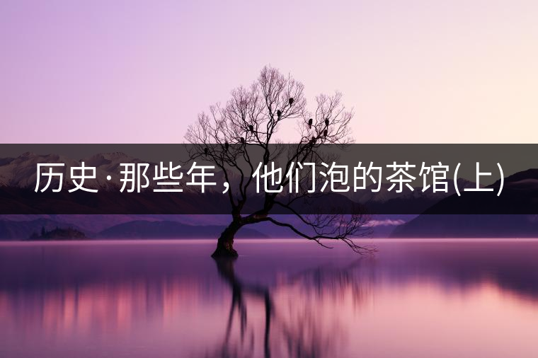 歷史·那些年，他們泡的茶館(上)