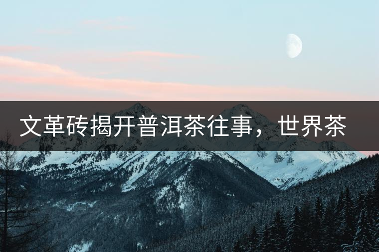 文革磚揭開普洱茶往事，世界茶文化交流協(xié)會成員共品經(jīng)典文革磚！