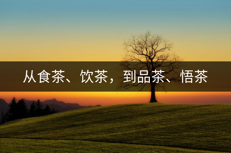 從食茶、飲茶，到品茶、悟茶