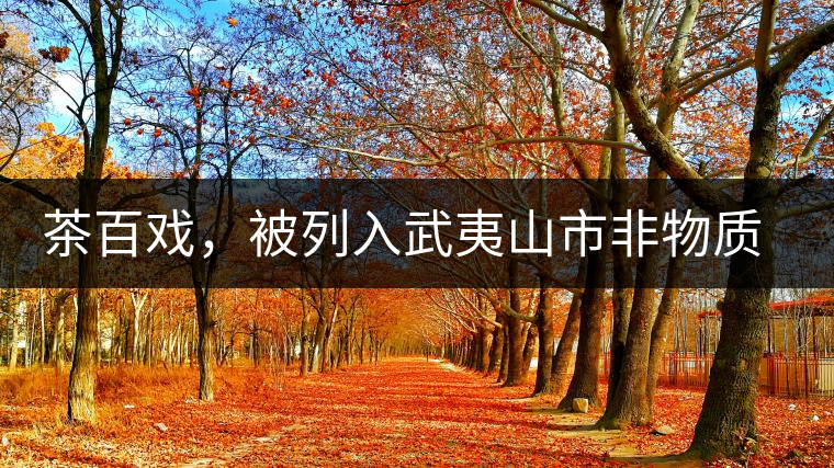 茶百戲，被列入武夷山市非物質(zhì)文化遺產(chǎn)的茶湯