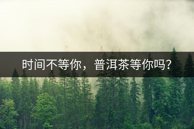 時間不等你，普洱茶等你嗎？