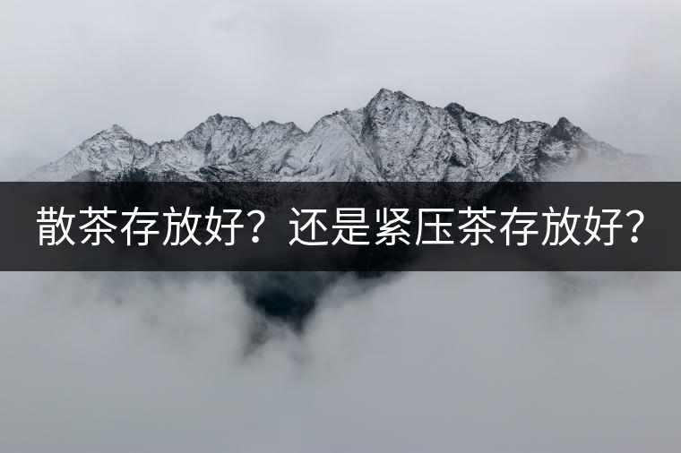 散茶存放好？還是緊壓茶存放好？