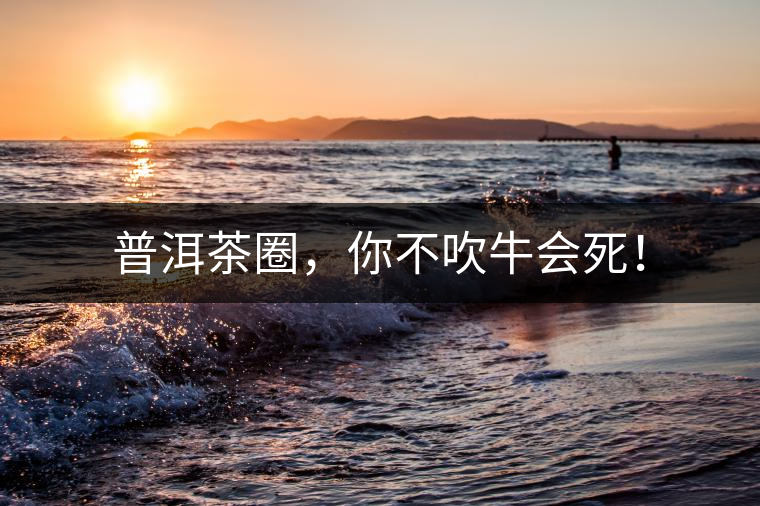 普洱茶圈，你不吹牛會死！