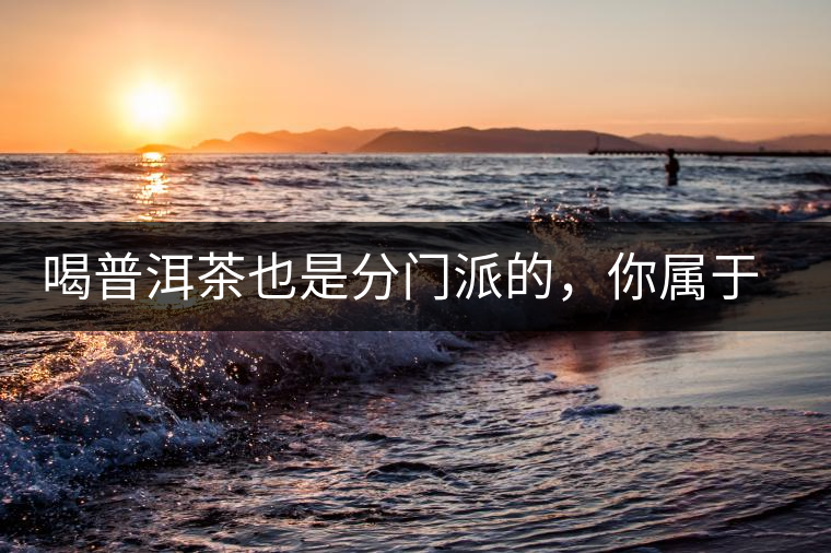 喝普洱茶也是分門派的，你屬于哪派呢？