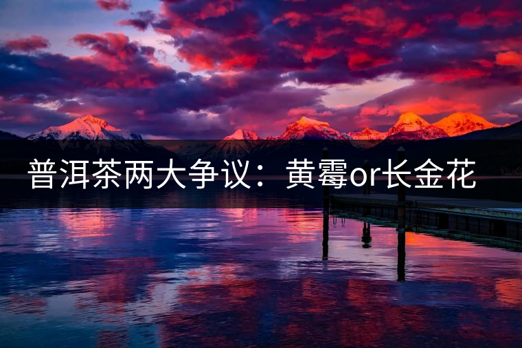 普洱茶兩大爭議：黃霉or長金花，生蟲or蟲屎茶