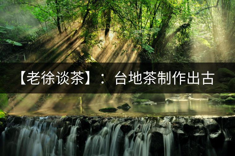 【老徐談茶】：臺地茶制作出古樹茶口感？只需一招，輕松騙過你 ?