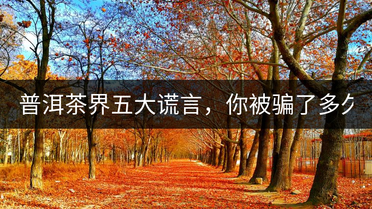 普洱茶界五大謊言，你被騙了多久？