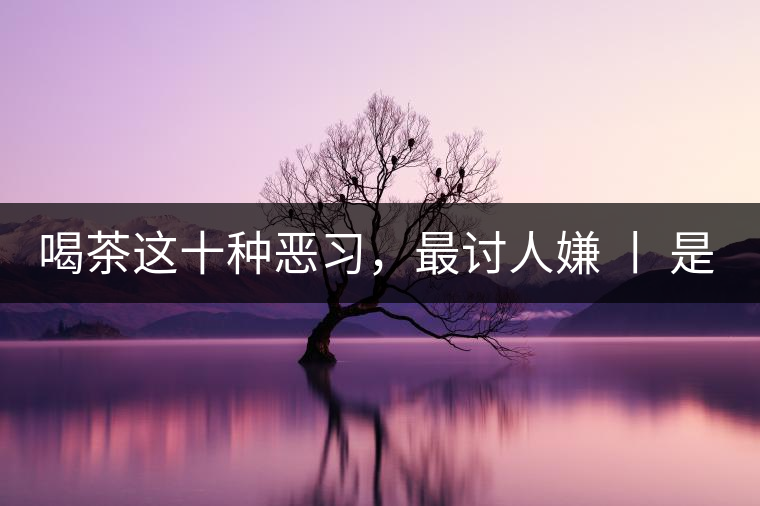 喝茶這十種惡習，最討人嫌 丨 是否同感？