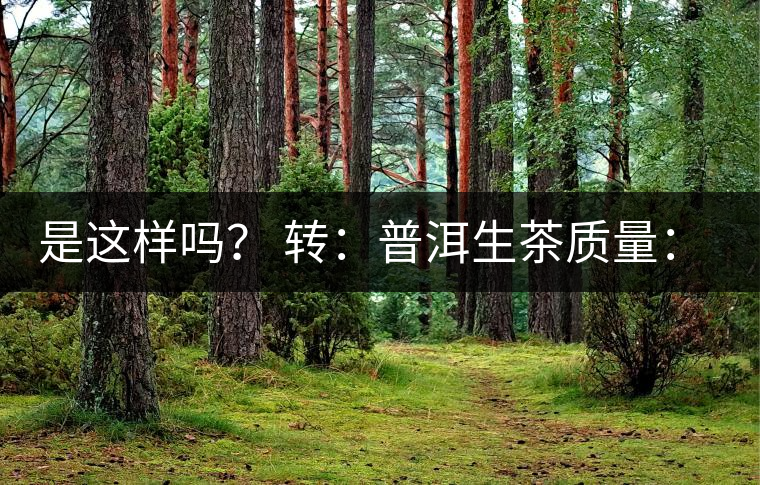 是這樣嗎？ 轉(zhuǎn)：普洱生茶質(zhì)量：大廠和小廠沒有區(qū)別