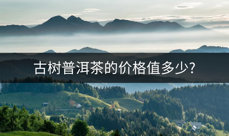 古樹普洱茶的價格值多少? 古樹普洱茶的價格值多少?