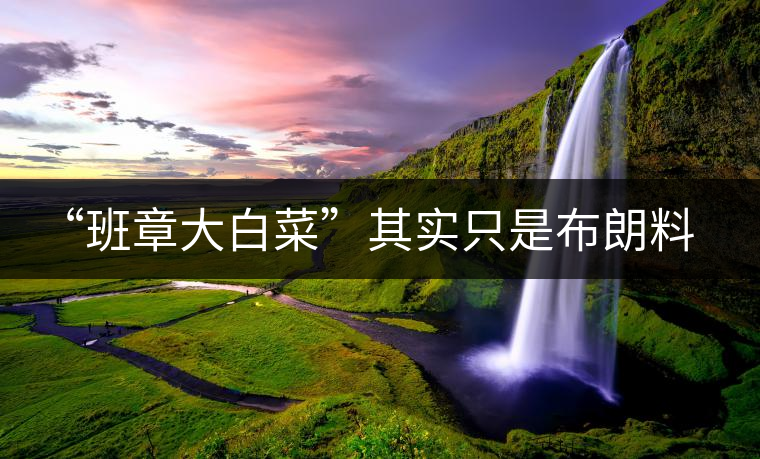 “班章大白菜”其實(shí)只是布朗料？