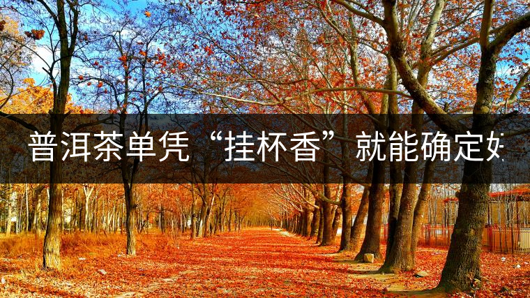 普洱茶單憑“掛杯香”就能確定好壞？you錯(cuò)了！