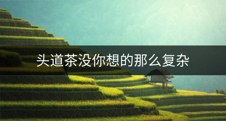 頭道茶沒(méi)你想的那么復(fù)雜 頭道茶沒(méi)你想的那么復(fù)雜