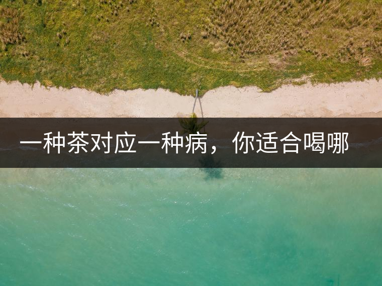 一種茶對應(yīng)一種病，你適合喝哪一種呢？