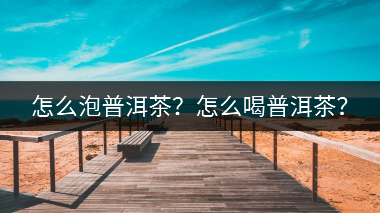 怎么泡普洱茶？怎么喝普洱茶？