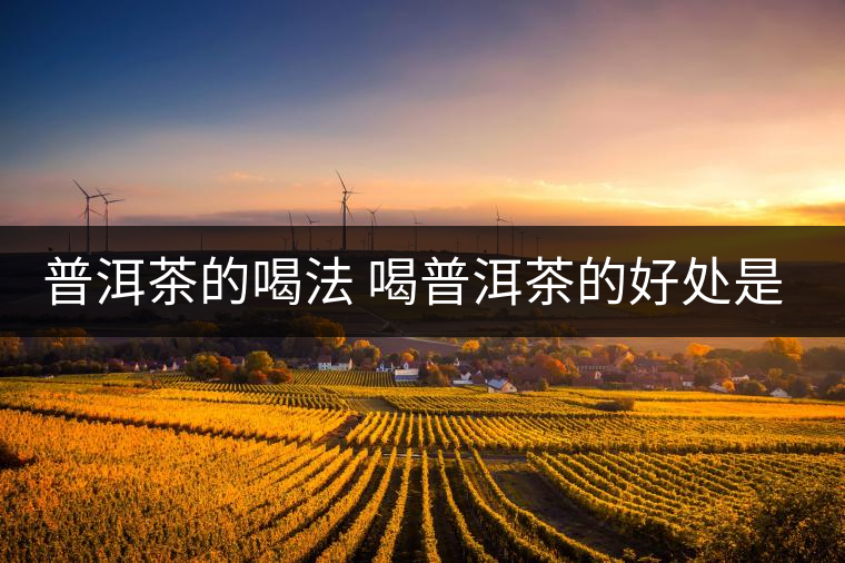 普洱茶的喝法 喝普洱茶的好處是什么？