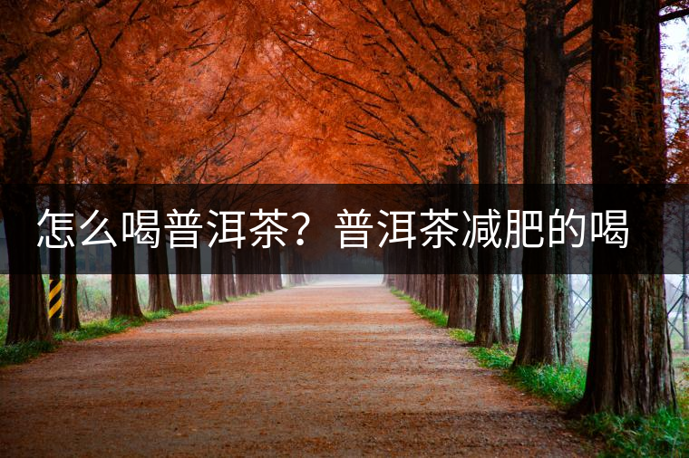 怎么喝普洱茶？普洱茶減肥的喝法
