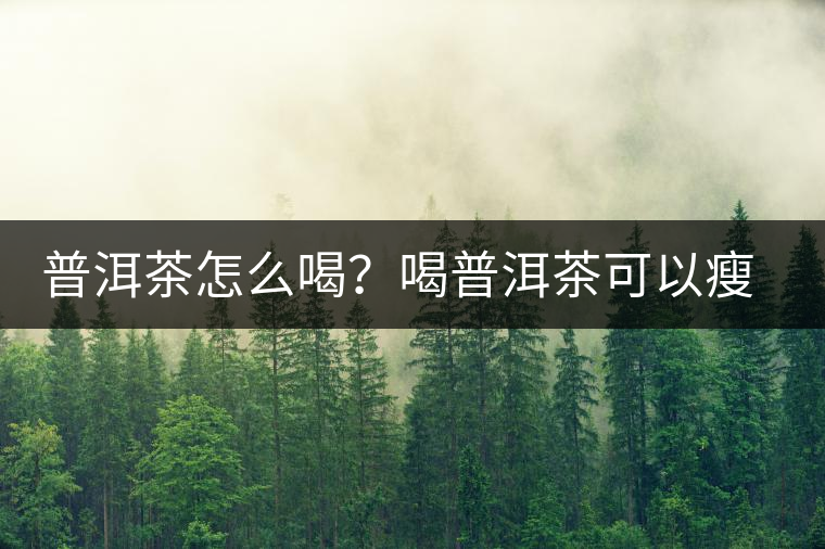 普洱茶怎么喝？喝普洱茶可以瘦腹嗎？