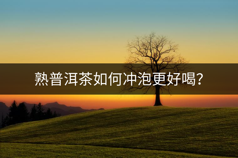 熟普洱茶如何沖泡更好喝？