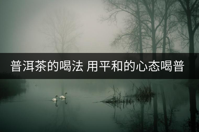 普洱茶的喝法 用平和的心態(tài)喝普洱茶 普洱茶的喝法 用平和的心態(tài)喝普洱茶