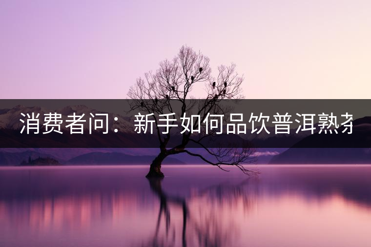 消費者問：新手如何品飲普洱熟茶？