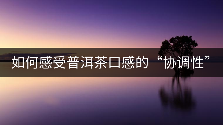 如何感受普洱茶口感的“協(xié)調(diào)性”？