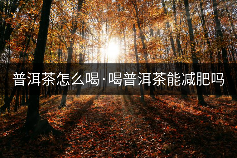 普洱茶怎么喝·喝普洱茶能減肥嗎？