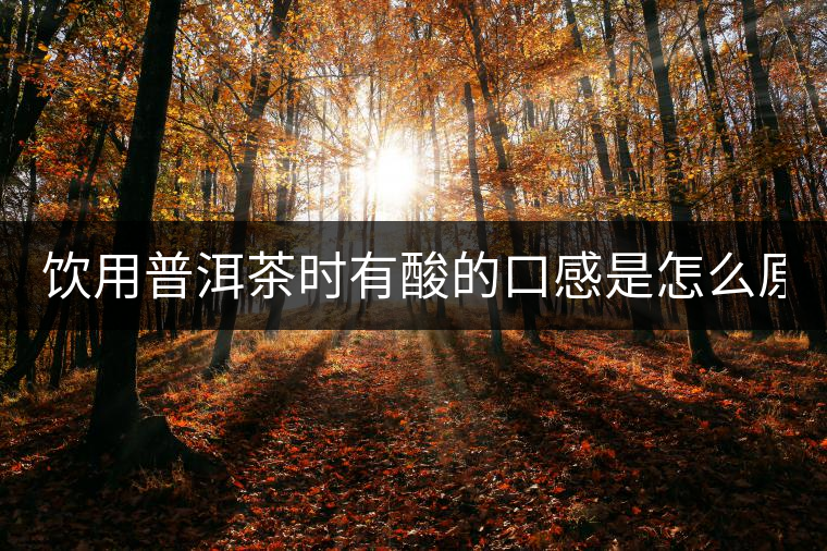 飲用普洱茶時(shí)有酸的口感是怎么原因？
