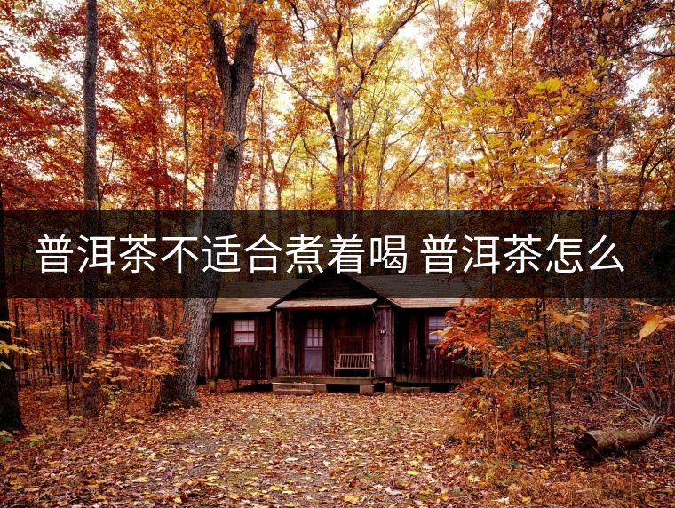 普洱茶不適合煮著喝 普洱茶怎么喝？