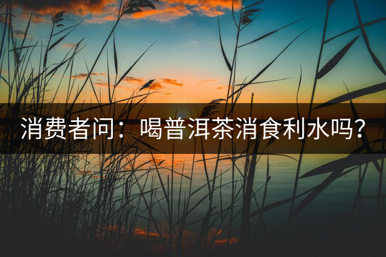 消費(fèi)者問(wèn)：喝普洱茶消食利水嗎？