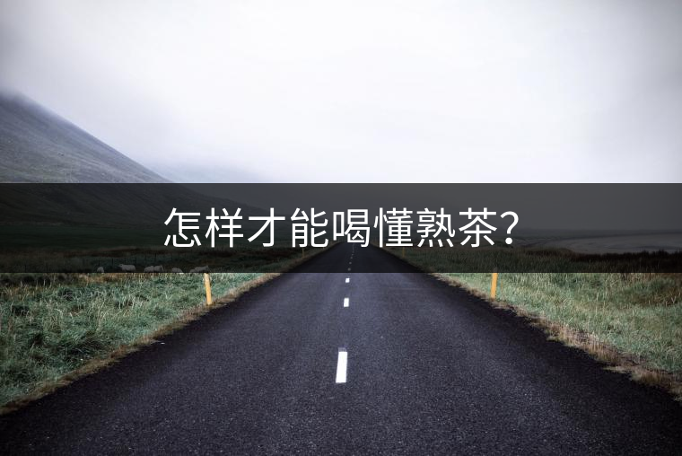 怎樣才能喝懂熟茶？
