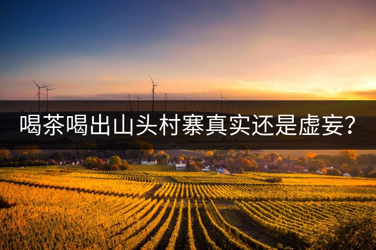 喝茶喝出山頭村寨真實(shí)還是虛妄？