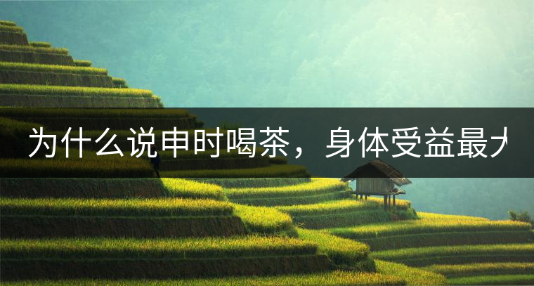 為什么說申時(shí)喝茶，身體受益最大？