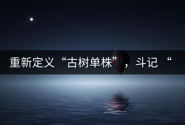 重新定義“古樹單株”，斗記 “超級審評”有償招募告罄在即！