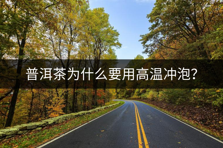 普洱茶為什么要用高溫沖泡？