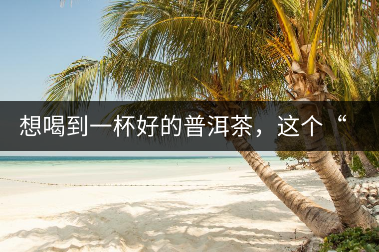 想喝到一杯好的普洱茶，這個(gè)“醒茶”步驟很關(guān)鍵