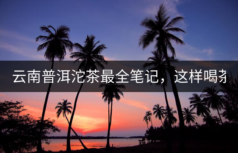 云南普洱沱茶最全筆記，這樣喝茶才更健康！