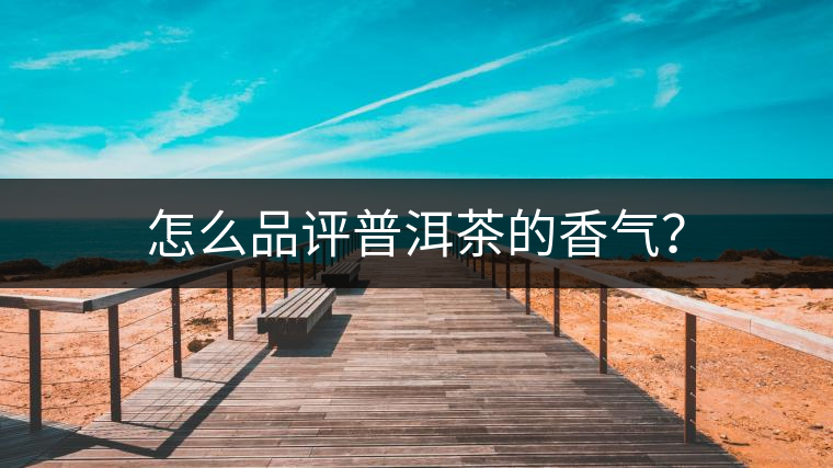 怎么品評(píng)普洱茶的香氣？