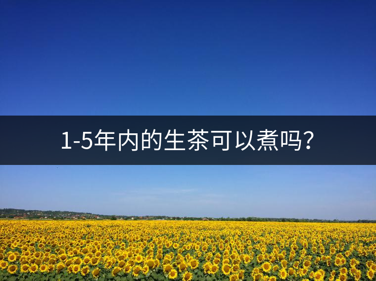 1-5年內(nèi)的生茶可以煮嗎？
