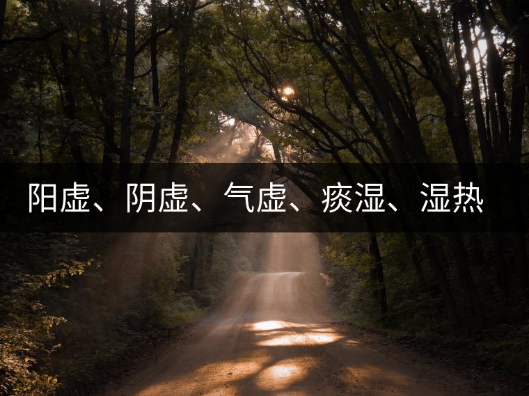 陽虛、陰虛、氣虛、痰濕、濕熱……該怎么喝茶？