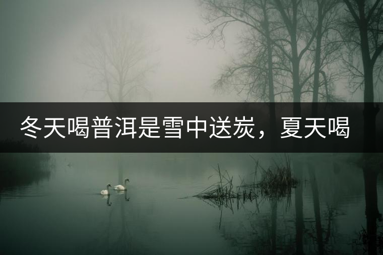 冬天喝普洱是雪中送炭，夏天喝就是火上澆油了？