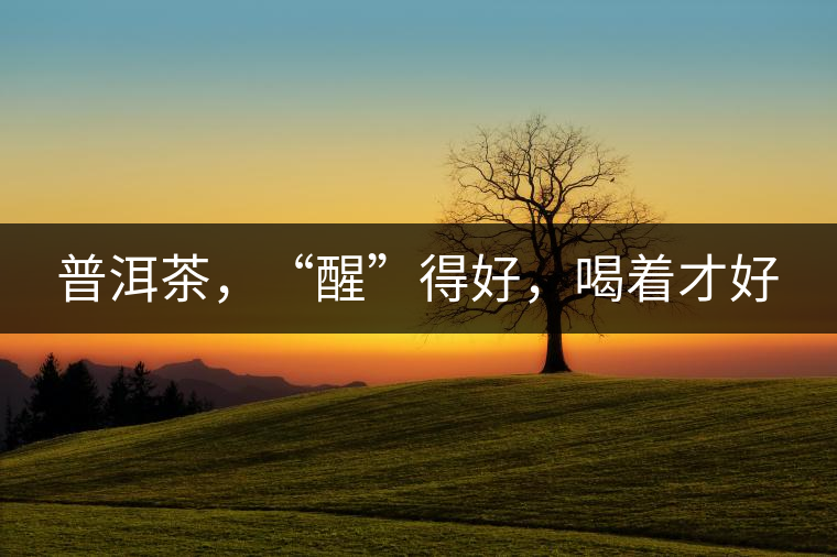 普洱茶，“醒”得好，喝著才好