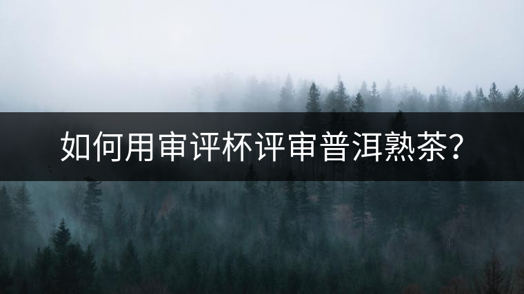 如何用審評杯評審普洱熟茶？