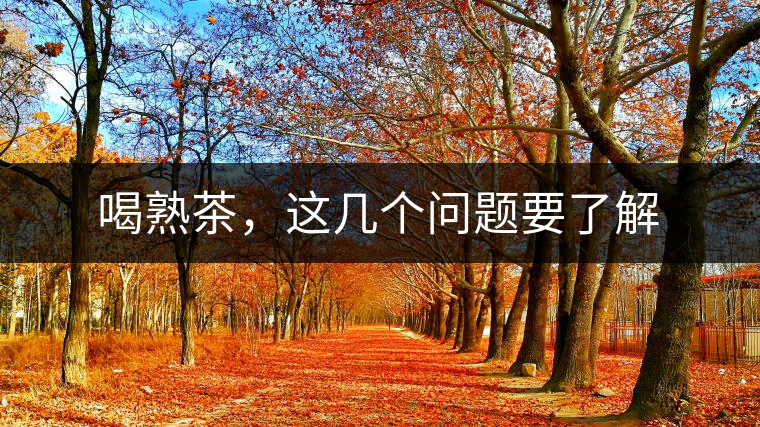 喝熟茶，這幾個問題要了解